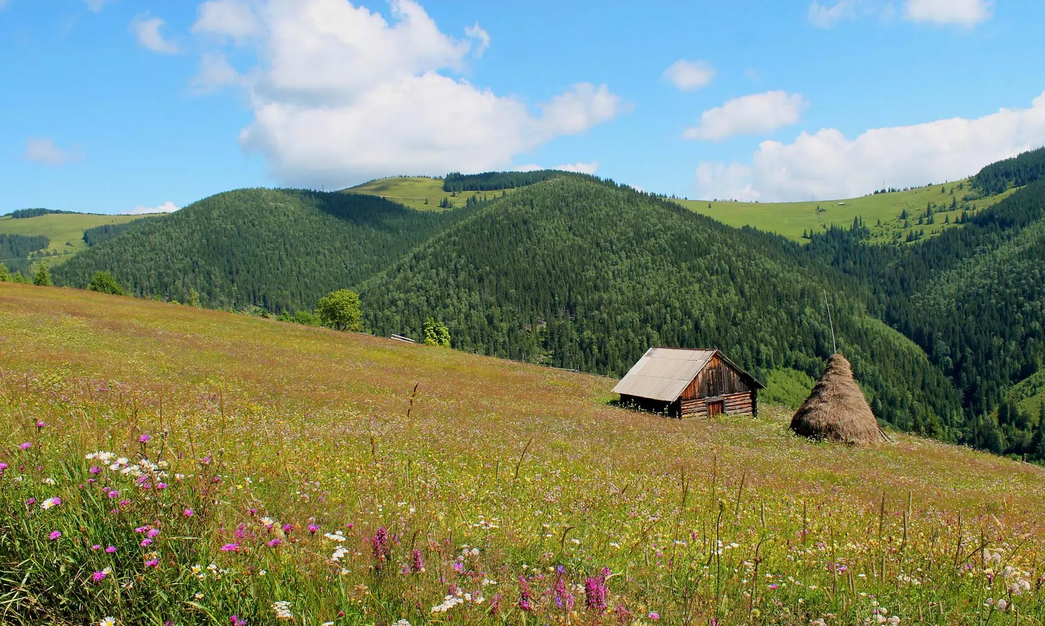 криворівня-богдан-салій-3.webp